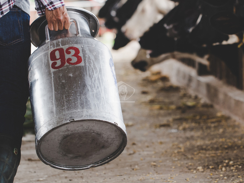 Azienda agricola in vendita a Brescia campagna
