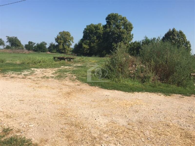 Azienda agricola in vendita a Carbonara di Po