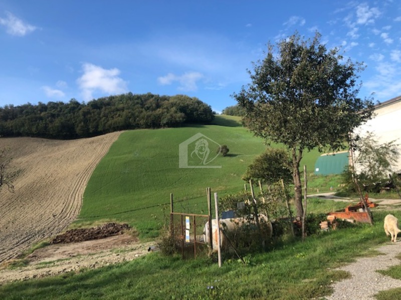 Azienda agricola in vendita a Salsomaggiore Terme