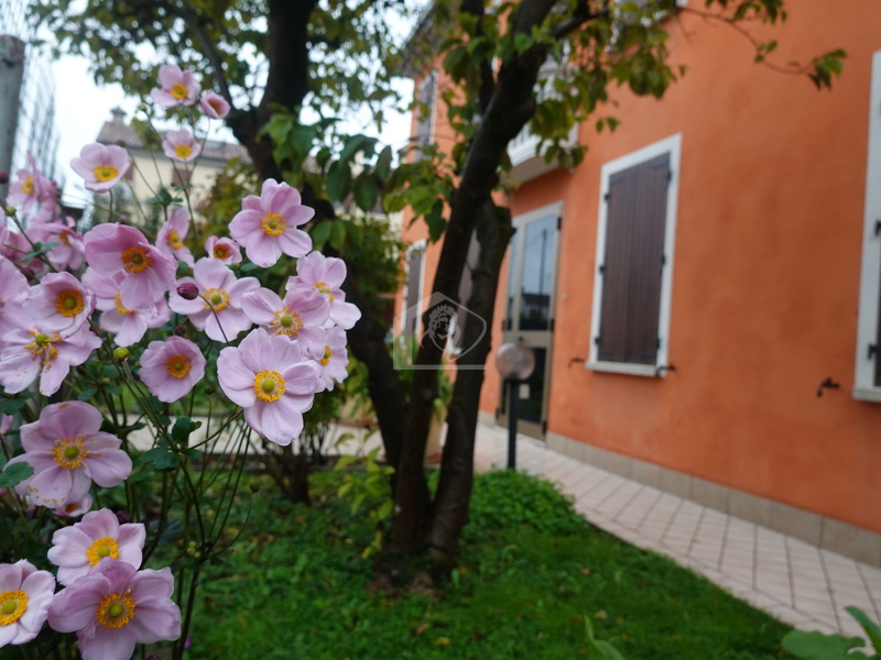 Casa indipendente in vendita a Suzzara appena fuori dal centro