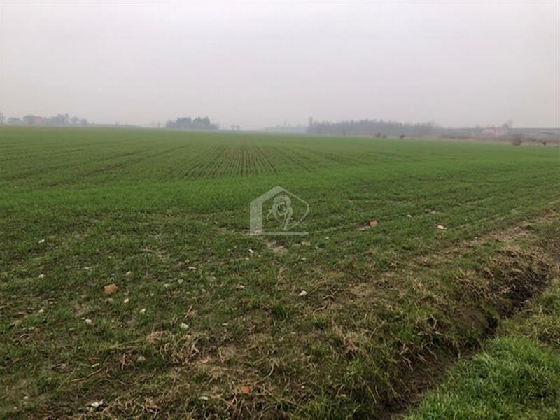 Terreno agricolo in vendita a Quistello Zambone